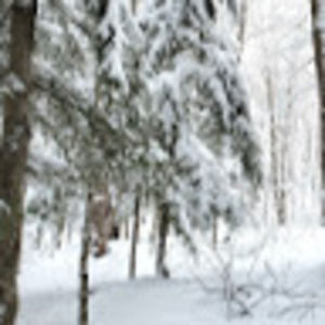 Meet your Posher, Stefanie